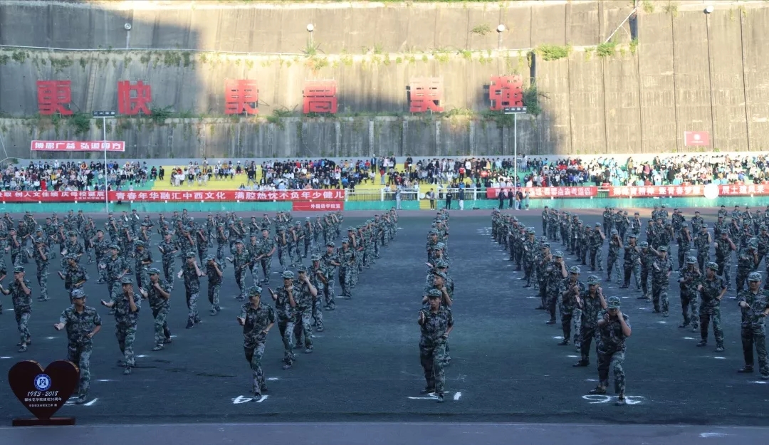 擒敌拳表演