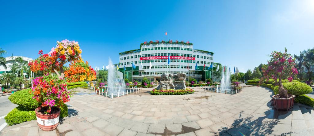三 角 梅 展 览